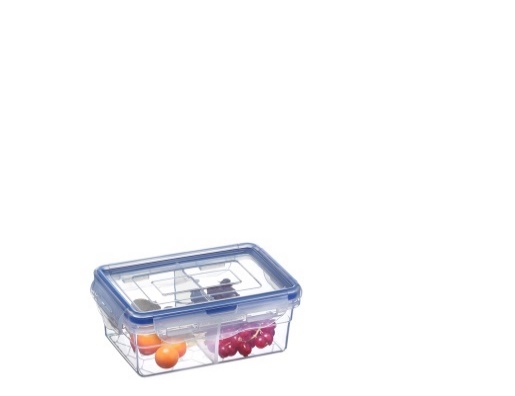 DIVIDED AIRTIGHT STORAGE BOX-0B (500ml)