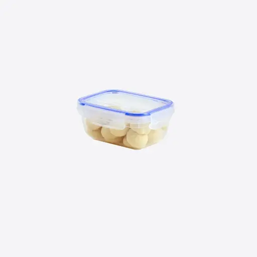 Seal Rectangular Storage Container