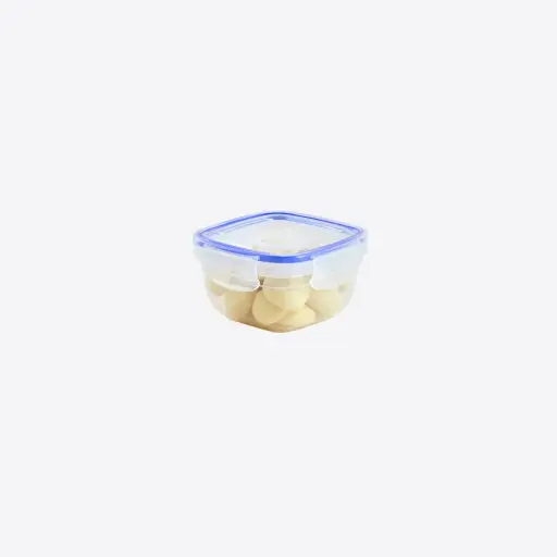 Seal Square Storage Container